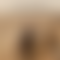 Ryan Smith: Accessing the world by wheelchair