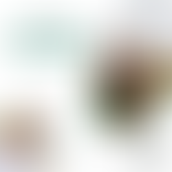 Living with a disability: Elle Steele from Paralympian to businesswoman