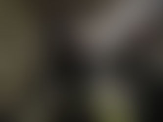 カメラやらなんやら