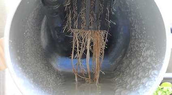 NFT Roots in Channel.jpg