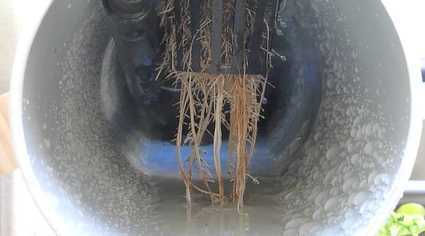 NFT Roots in Channel.jpg