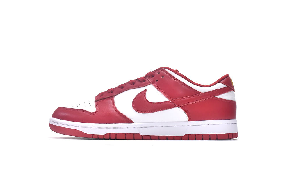 Miniatură: SB Dunk Low "Gym Red"