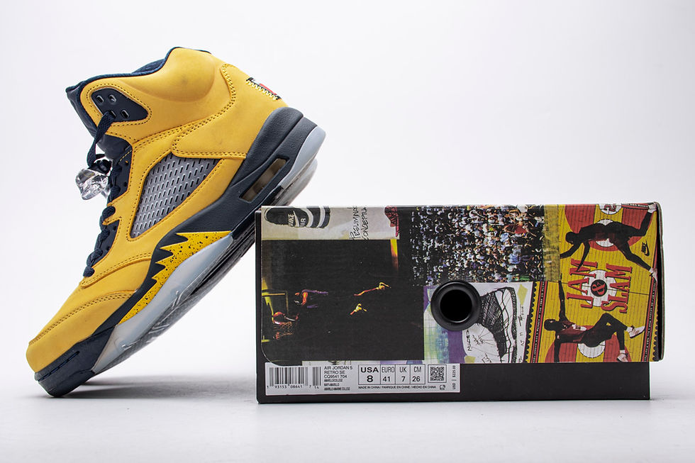 Miniature : AJ5 Retro "Michigan"