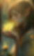 JV NYMPH # 19.png
