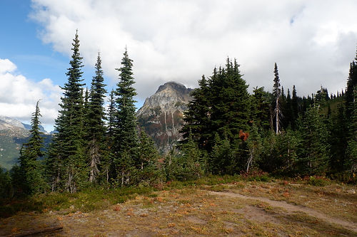 Hiking buck creek pass
