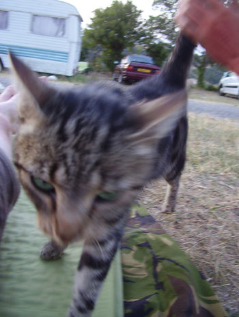 100cols_tocht3 162.jpg