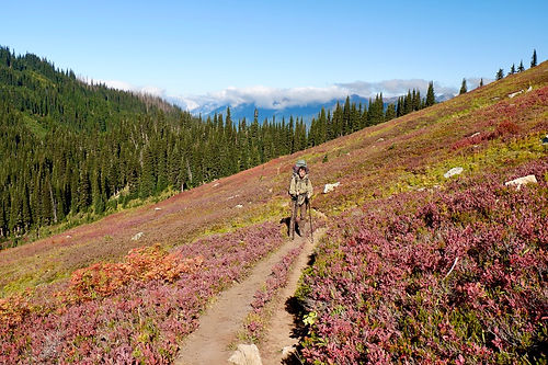 Hiking buck creek pass