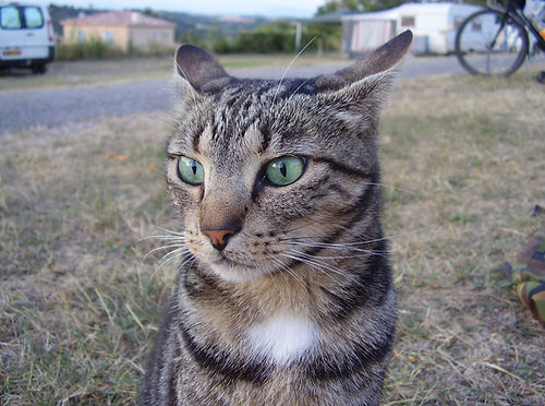 100cols_tocht3 161.jpg