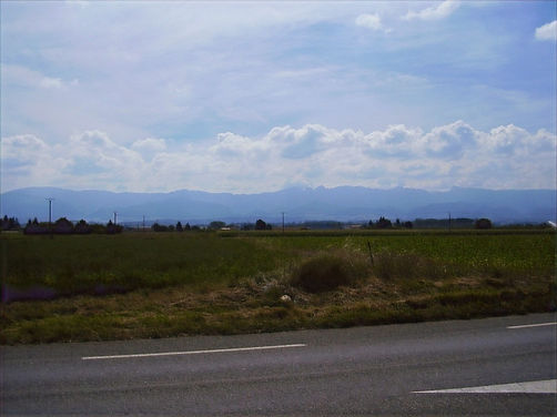 P8030018_edited.jpg