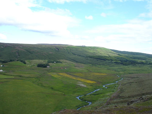 icelandic farm fields