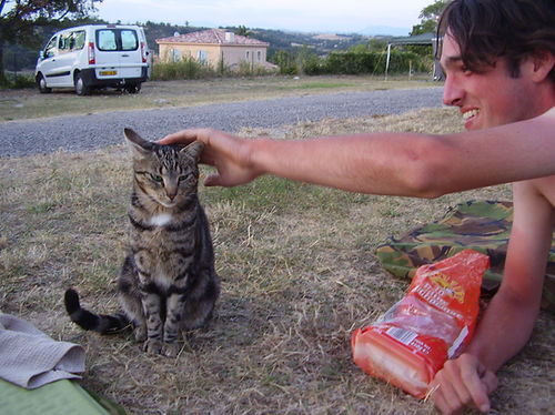 cycling with a cat