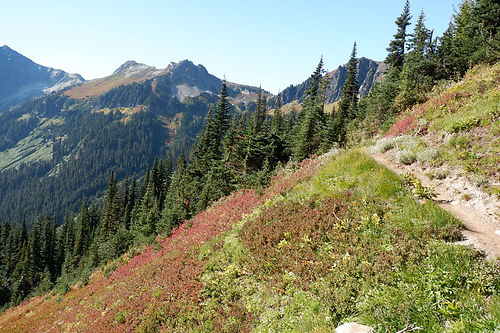 Backpacking buck creek pass