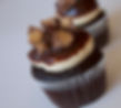 Reese's Peanut Butter Chocolate Cupcake