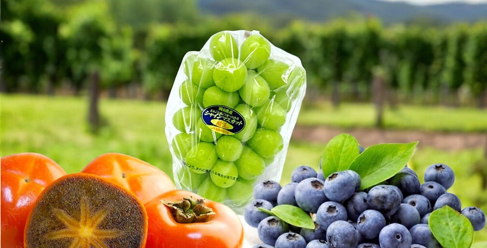 提子柿藍莓-Photoroom (1).jpg