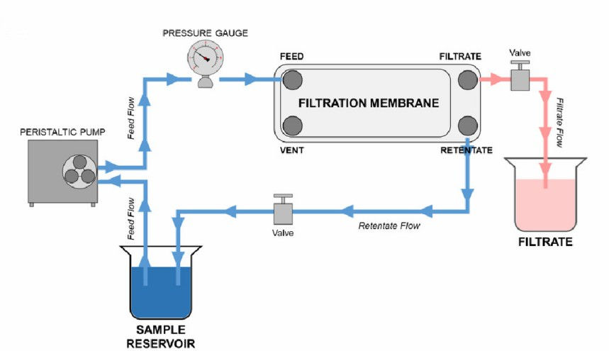 Diagram of a filtration system with labeled elements: peristaltic pump, filtration membrane, pressure gauge, valves, and reservoirs.