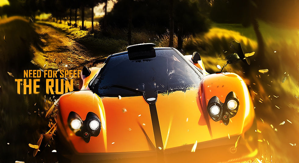 NEED FOR SPEED: THE RUN