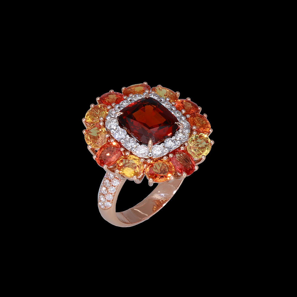 Nuovo progetto (4)_edited.jpg