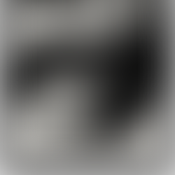 White Feather Hawk Tail Deer Hunter - Lana Del Rey (Review)