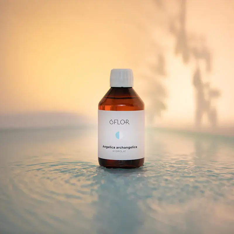 Angelique - Hydrolat Bi-distillé (O'flor - Krealikos)