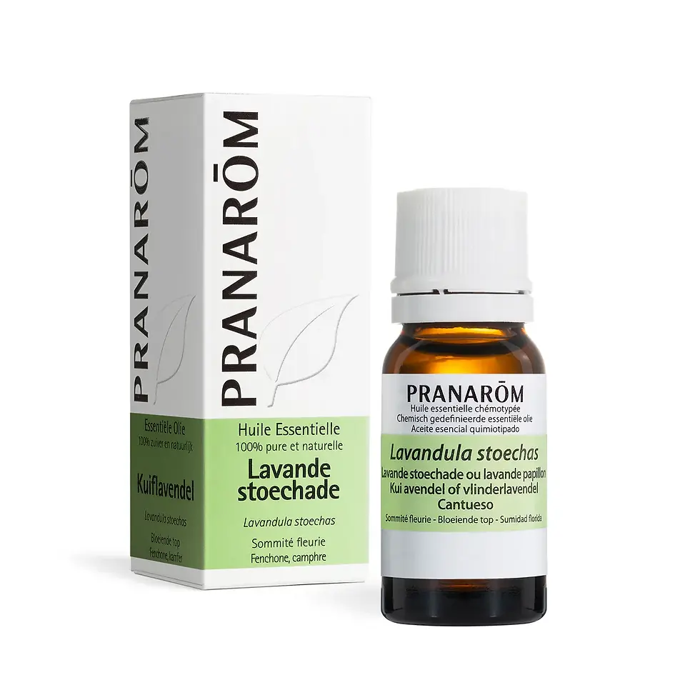Lavande Stoechade (Papillon) - Huile essentielle - 10ml (Pranarom)