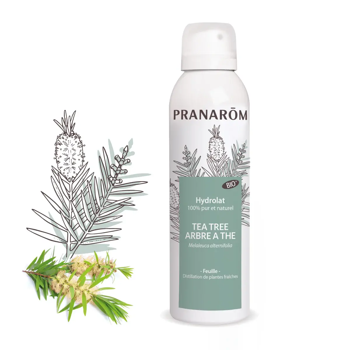 Hydrolat de Tea-Tree BIO - 150 ml (Pranarom)