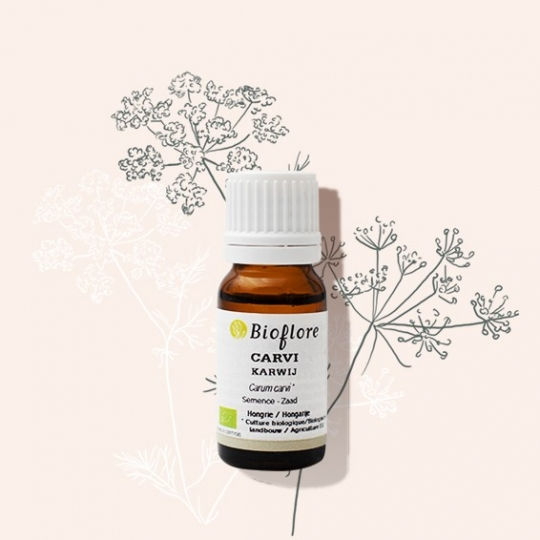 Carvi BIO - Huile essentielle - 10ml (Bioflore)