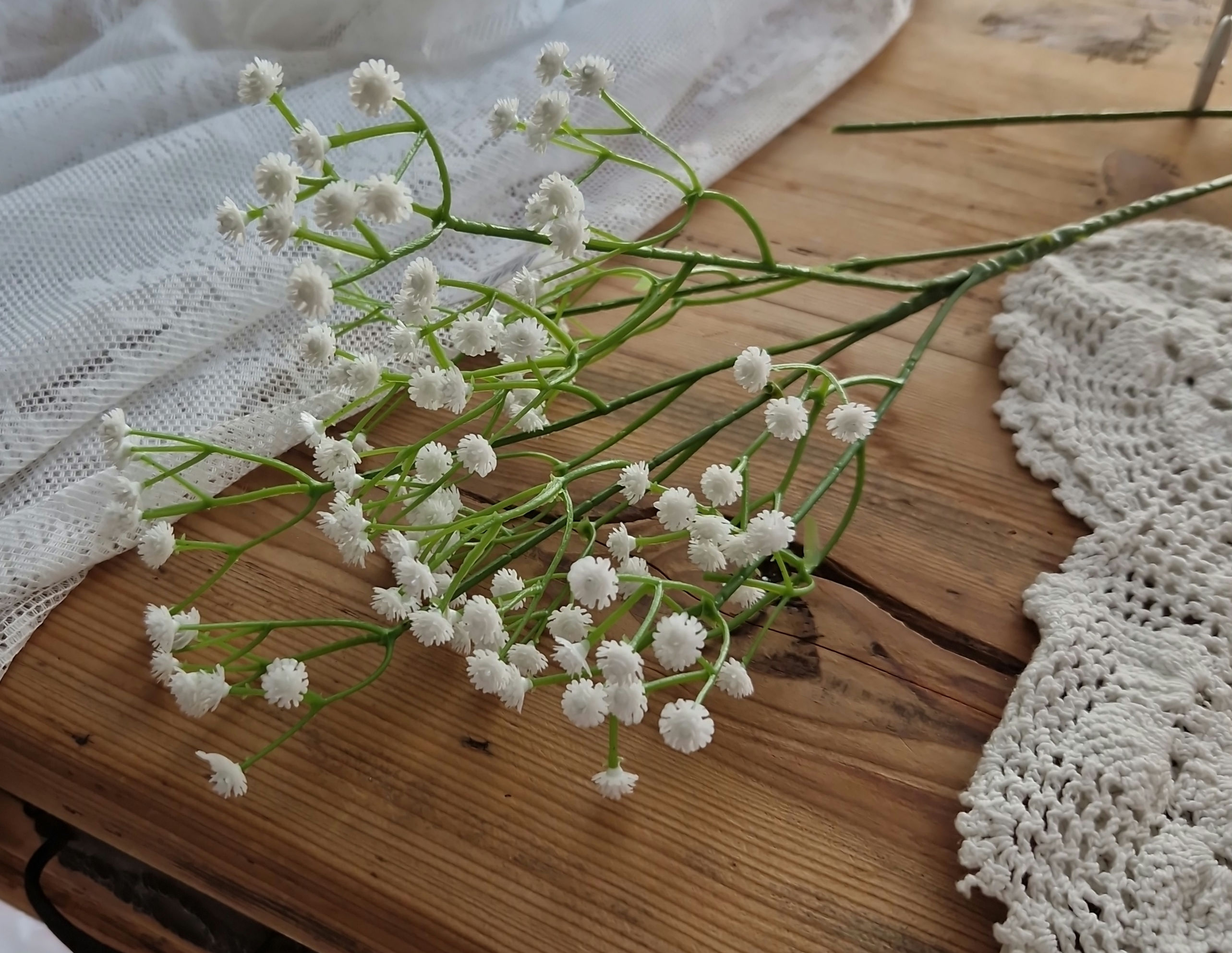 Rametto fiori gisophyla