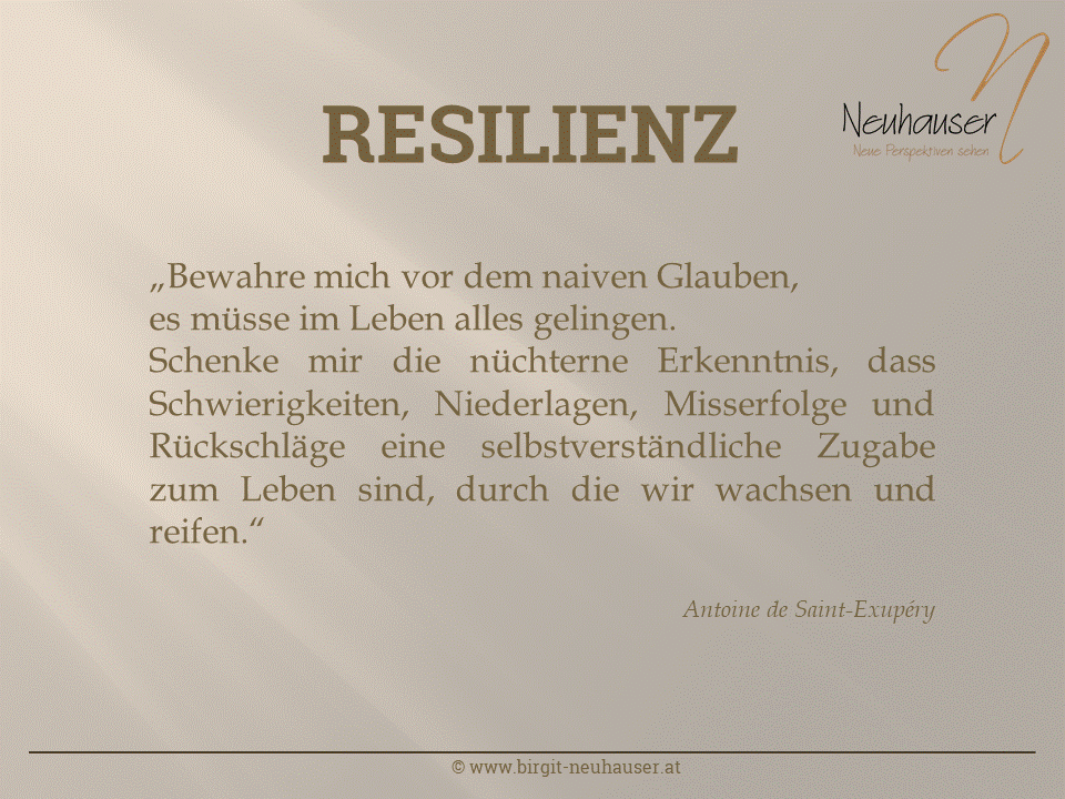 Resilienz - die zentrale Kraft im Leben