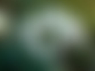 March 2020 Diary Dates