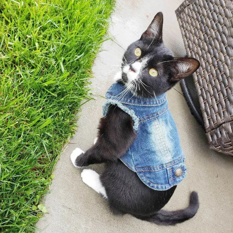 Fashionable Denim Vest - Casual Jeans Jacket for Cats & Small Pets