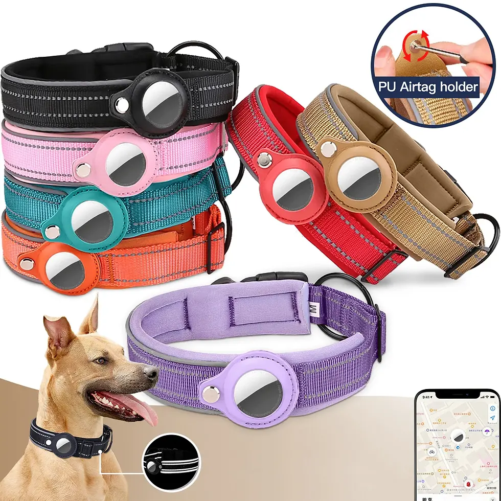 Apple Airtag Dog Collar – Waterproof Anti-Lost Tracker & Protection