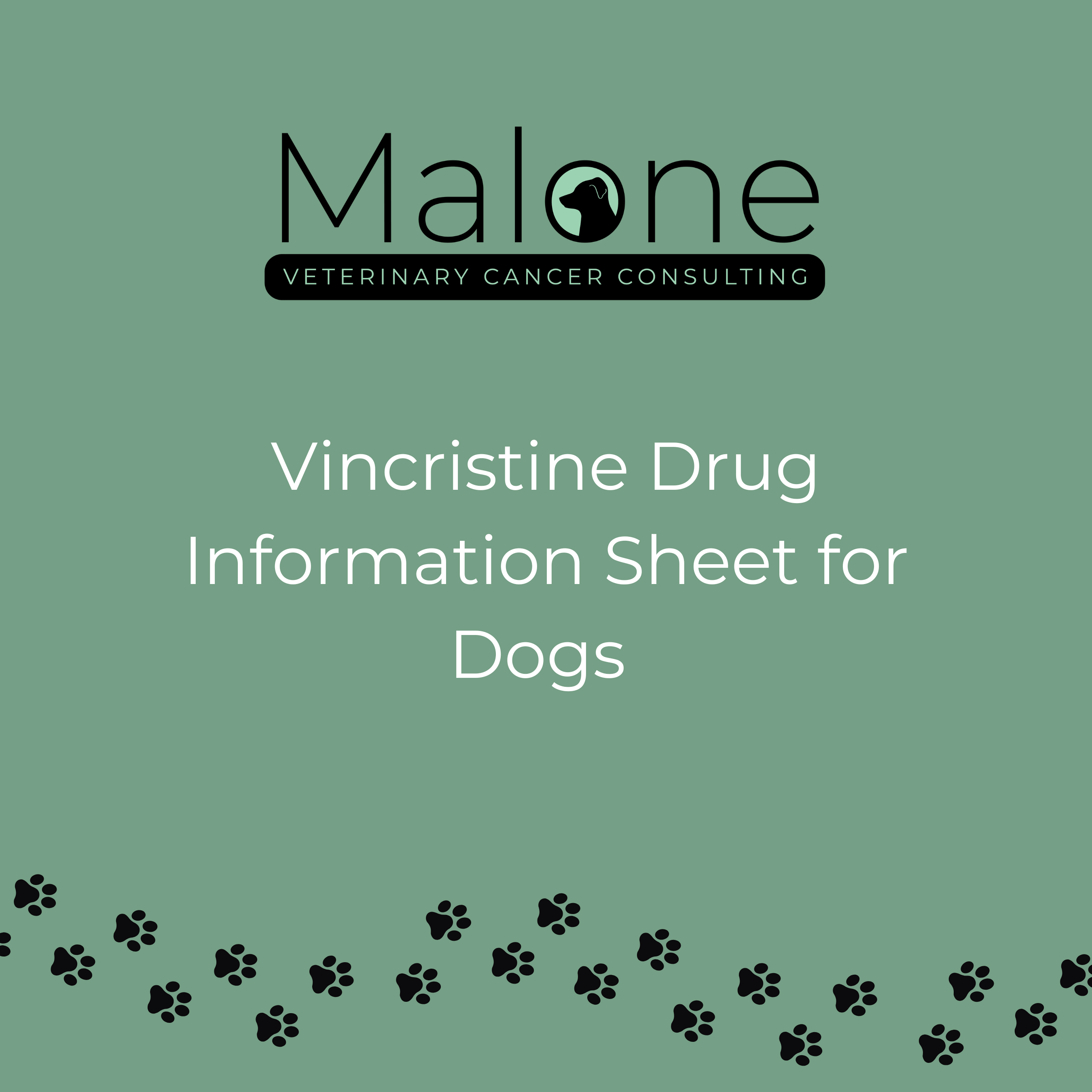 vincristine chemotherapy drug information sheet for dogs