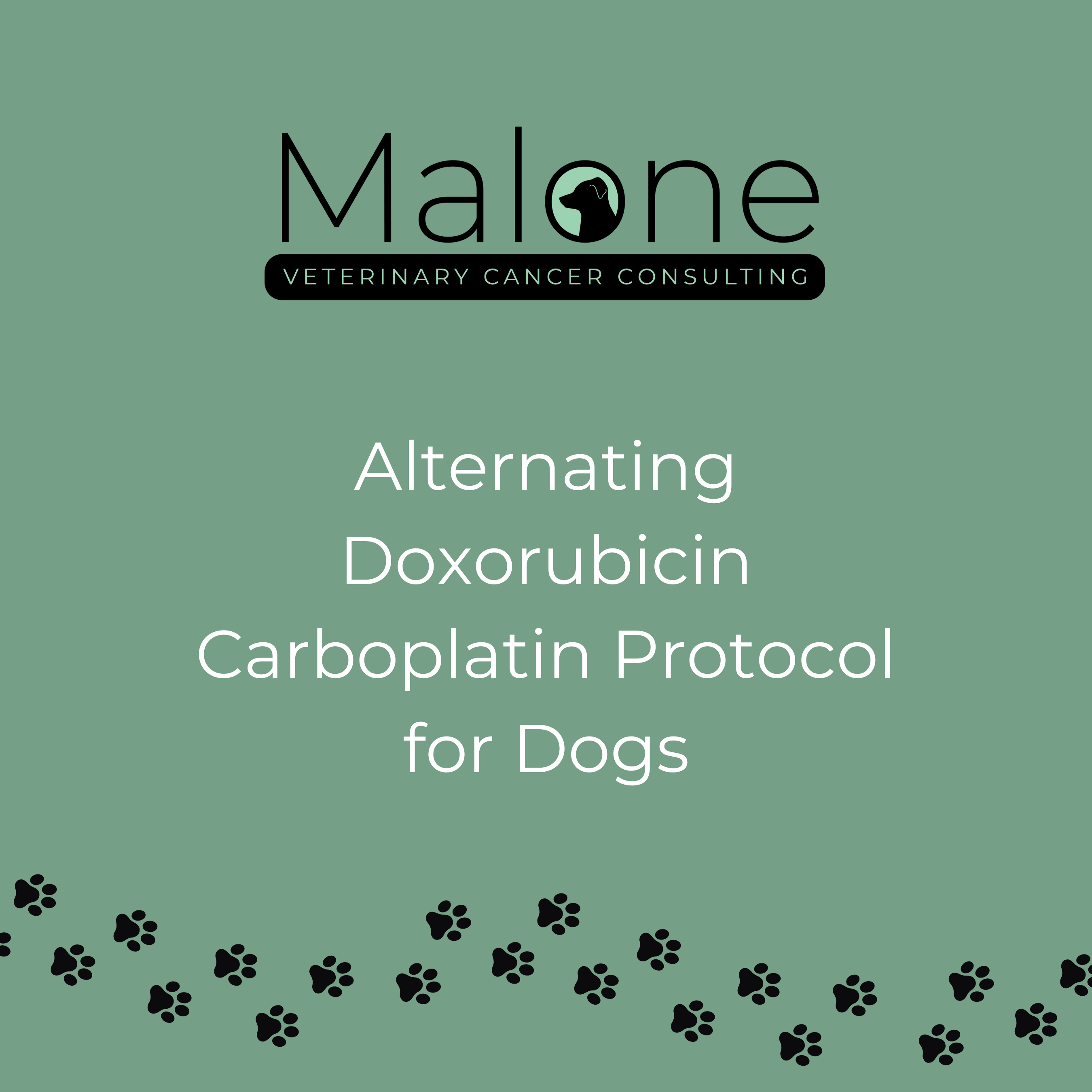 doxorubicin carboplatin chemotherapy protocol for dogs with cancer