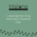 L-asparaginase rug information sheet for cats