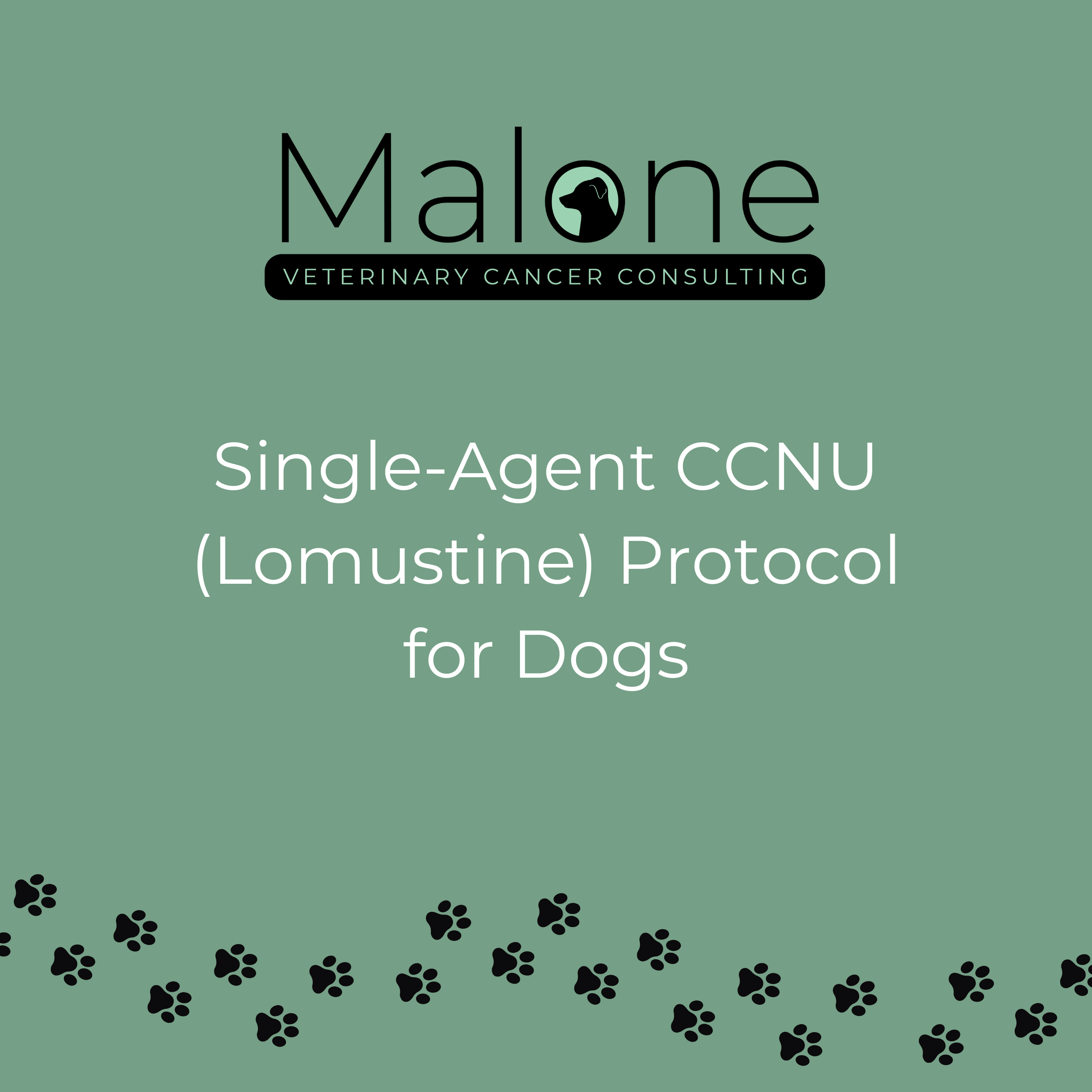 lomustine CCNU chemotherapy protocol for dogs with cancer