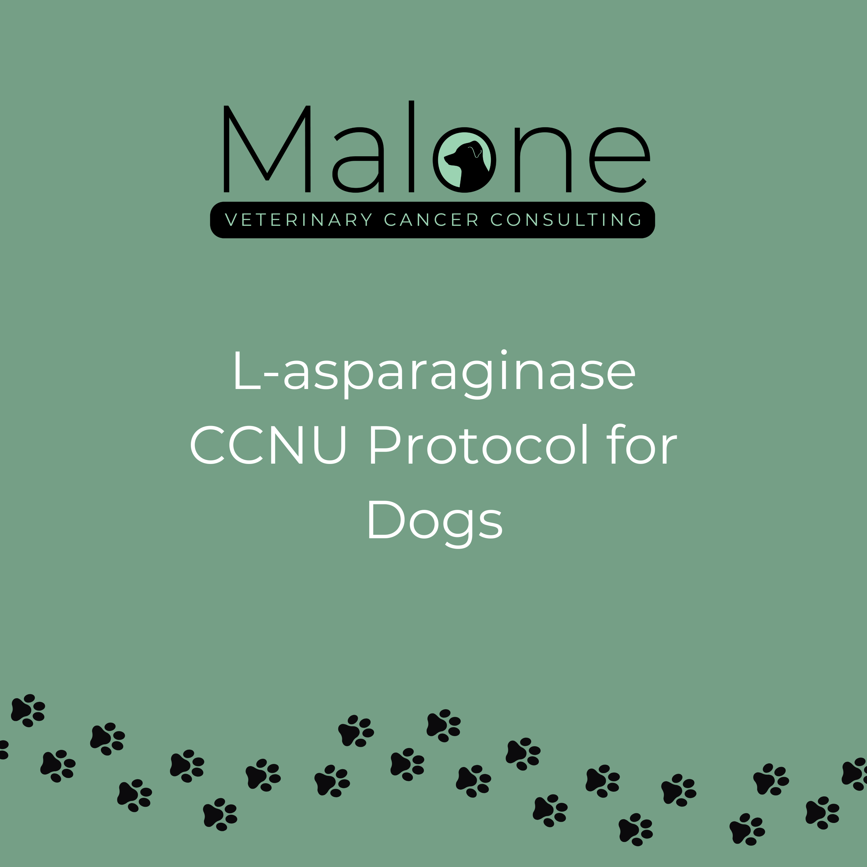 L-asparaginase CCNU lomustine chemotherapy protocol for dogs with cancer