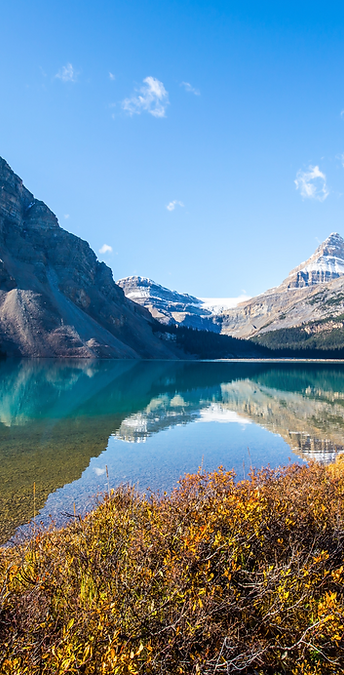 CEO of Self Would I Follow Me.png