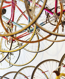 Bicycle Store