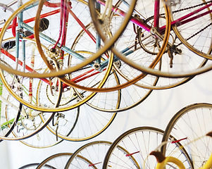 Bicycle Store