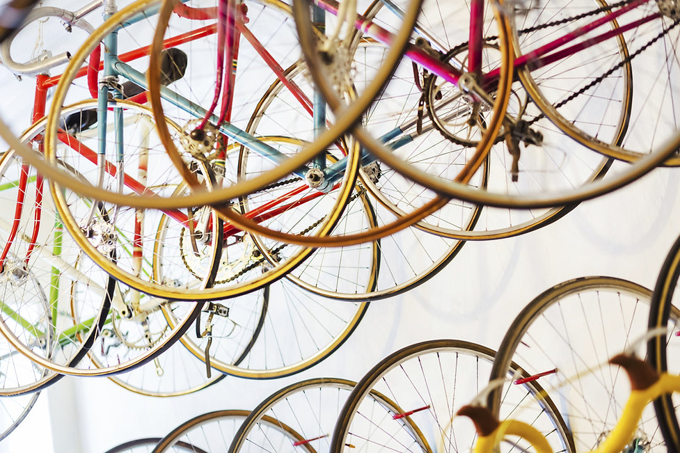 Bicycle Store