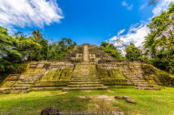 International Coaching & Consulting