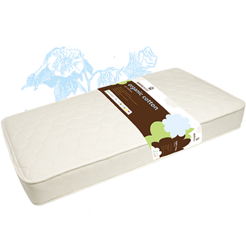 Naturepedic Crib Mattresses Earthscape