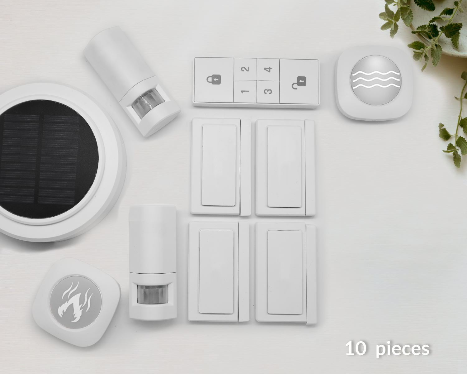 RetailDeluxe - Retail Packages