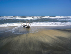 Sea Fever