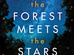 Nature in Fiction: An interview with Glendy Vanderah