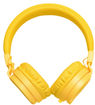 Earphones for listen to podcast Before Dieting...