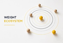 Weight Ecosystem
