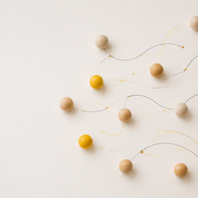 Body Fat and Weight Regain: What Your Eating System Is Really Doing