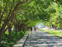 Been stuck in a weight loss cycle? Learn why diets work - until they don't.