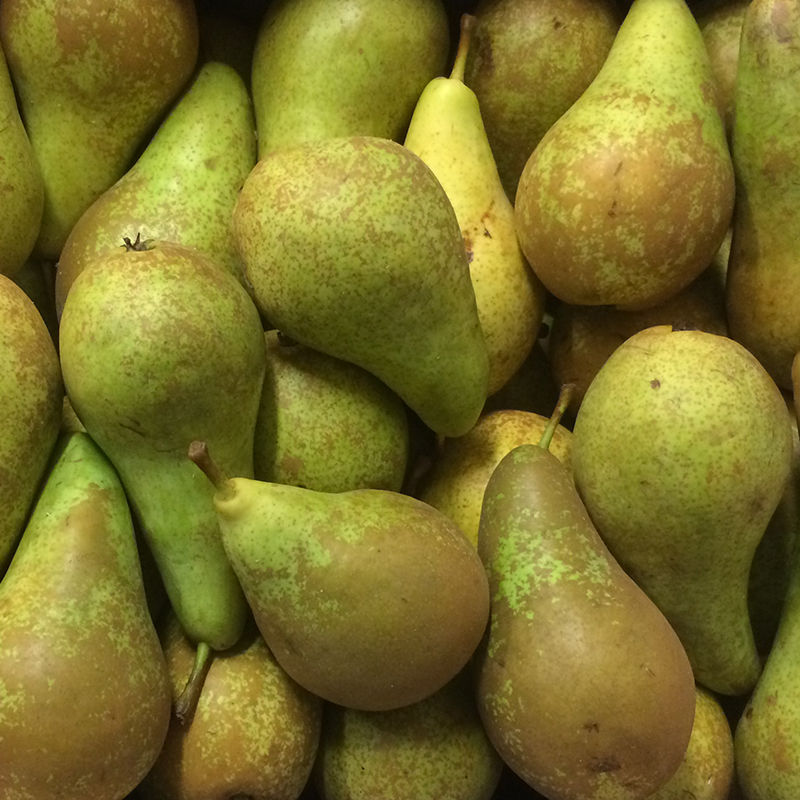 Thumbnail: Fruit Trees